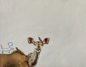 Kudu