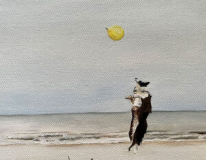 Jump Stikcdog Jump